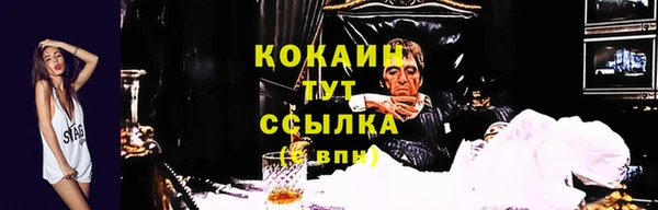 PSILOCYBIN Краснотурьинск