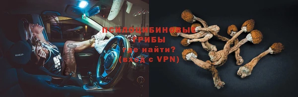 PSILOCYBIN Краснотурьинск