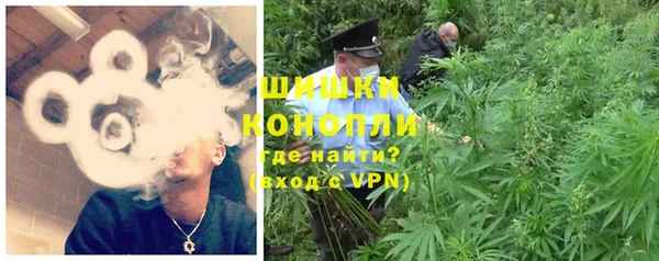 PSILOCYBIN Краснотурьинск