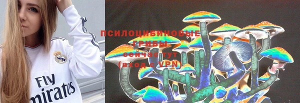 PSILOCYBIN Краснотурьинск