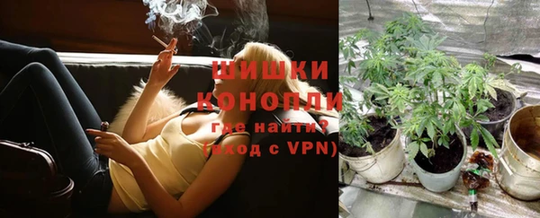 PSILOCYBIN Краснотурьинск