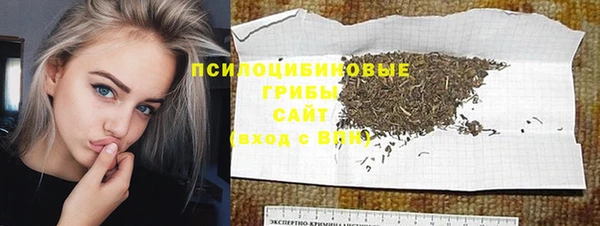 PSILOCYBIN Краснотурьинск